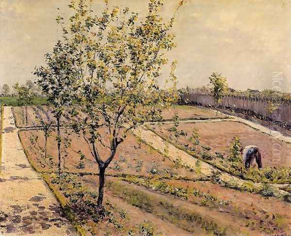 Kitchen Garden Petit Gennevilliers Oil Painting by Gustave Caillebotte