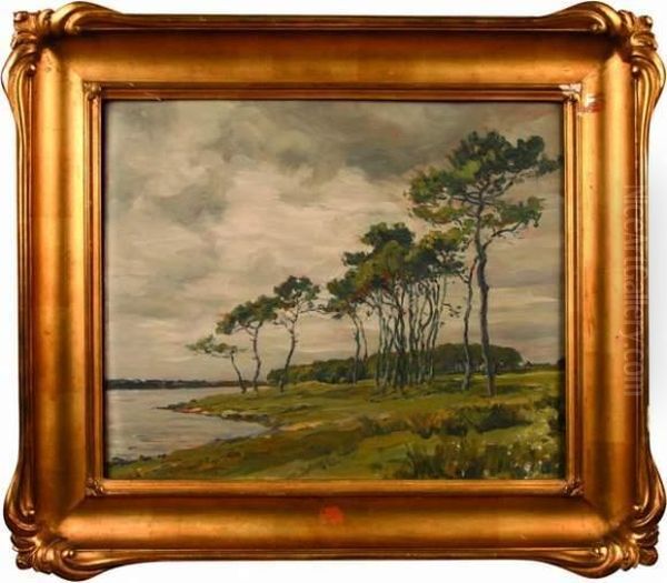 Bord De Mer Arbore Oil Painting by Andre Dauchez