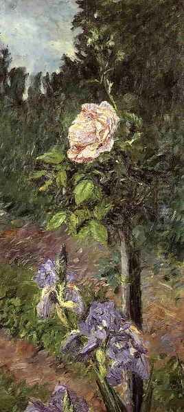 Rose With Purple Iris Garden At Petit Gennevilliers Oil Painting by Gustave Caillebotte