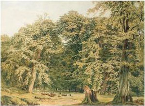 Deer In Knole Park Oil Painting by Charles Grant Davidson