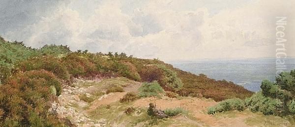 Leith Hill, Surrey Oil Painting by Charles Topham Davidson