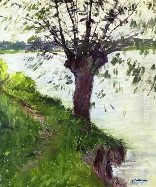 Willow On The Banks Of The Seine Oil Painting by Gustave Caillebotte