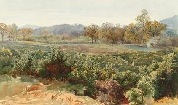 Reigate Heath Oil Painting by Charles Topham Davidson