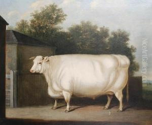 A Prize White Bull Standing Beside A Farmyardgate Oil Painting by Henry William Banks Davis, R.A.