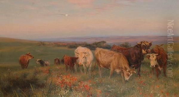 Cattle In A Meadow At Dusk. Oil Painting by Henry William Banks Davis, R.A.