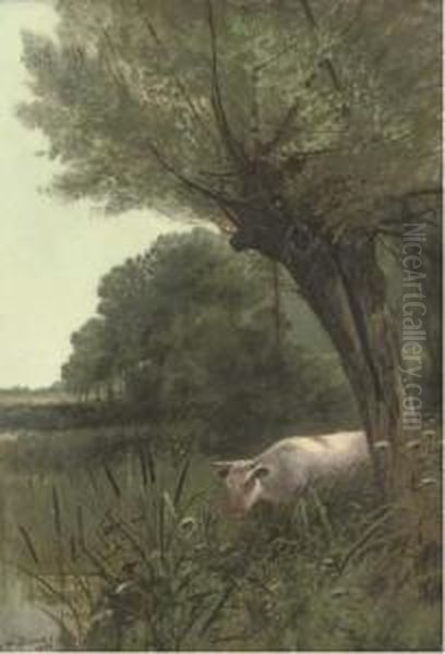 A Cow Watering At A Wooded Pool Oil Painting by Henry William Banks Davis, R.A.