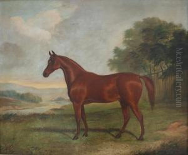 A Light Bay Horse In A Field Oil Painting by Richard Barrett Davis