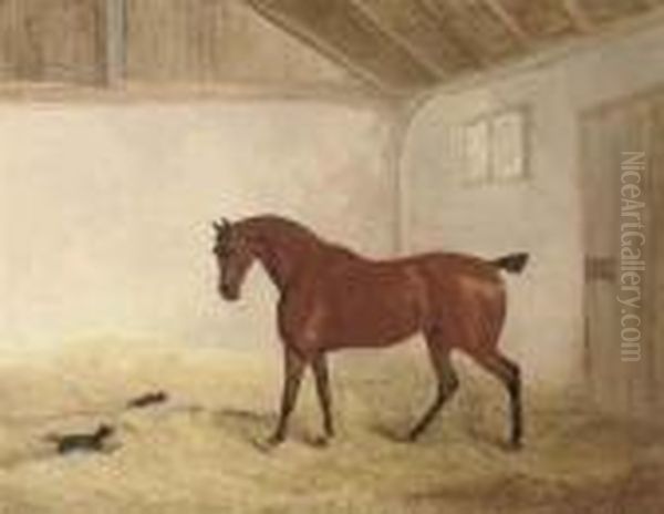 A Bay Hunter In A Stable Interior With A Dog Chasing A Cat Oil Painting by Richard Barrett Davis