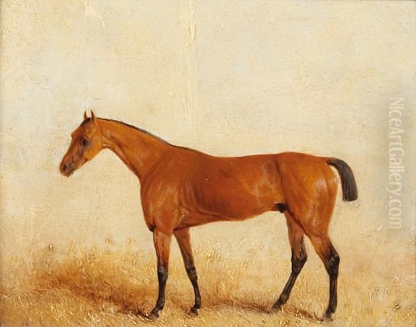 Moses, Winner Of The Derby 1822 Oil Painting by Richard Barrett Davis