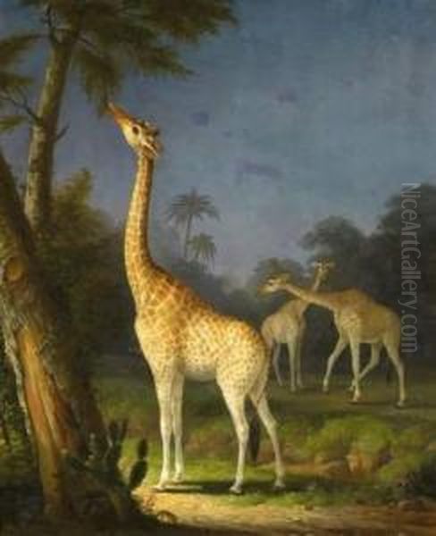 Three Giraffes Oil Painting by Richard Barrett Davis