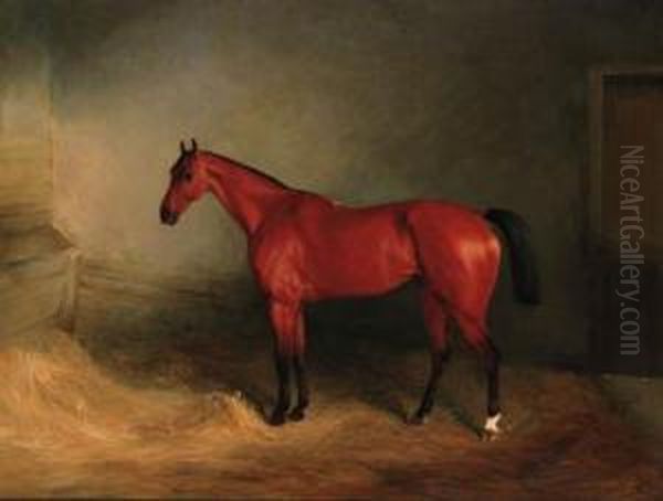 A Bay Hunter In A Stable Oil Painting by Richard Barrett Davis