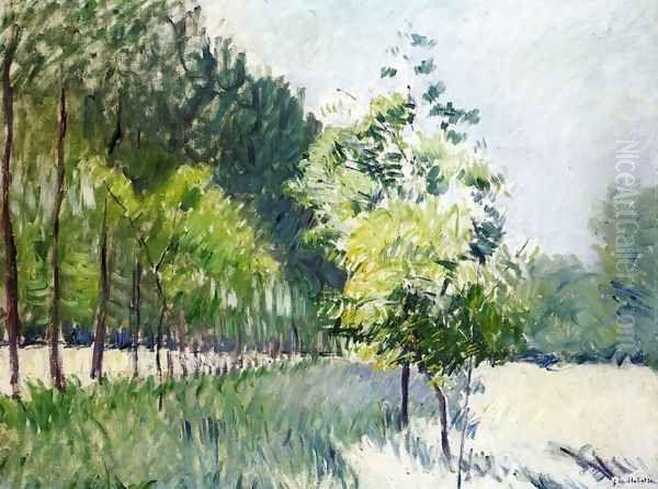 Lane Bordered by Trees Oil Painting by Gustave Caillebotte