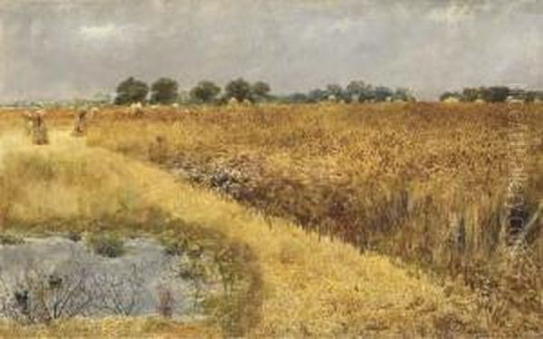 A Field Of Corn Oil Painting by William Davis