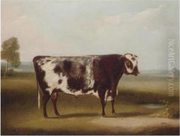 Portrait Of A Bull Oil Painting by William Henry Davis