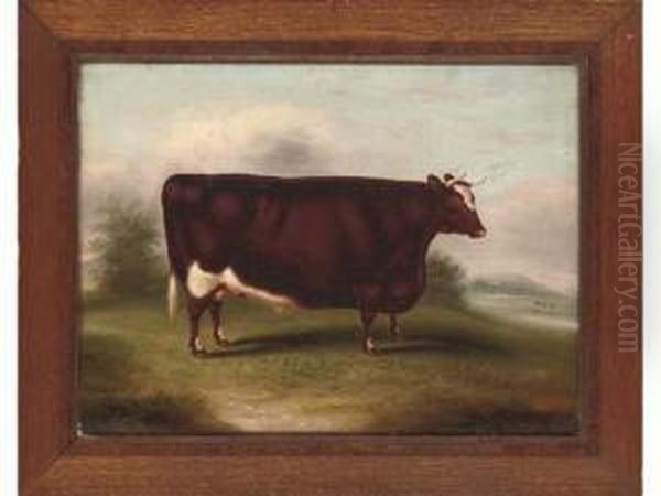 Portrait Of A Prize Winning Short Horned Ox In A Landscape Oil Painting by William Henry Davis