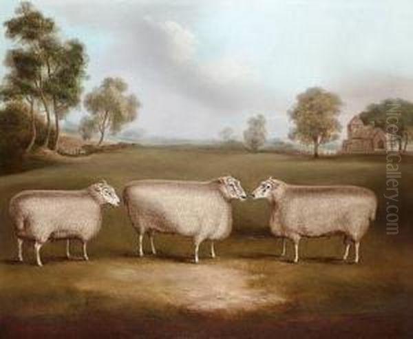 Three Prize Rams In A Landscape Oil Painting by William Henry Davis