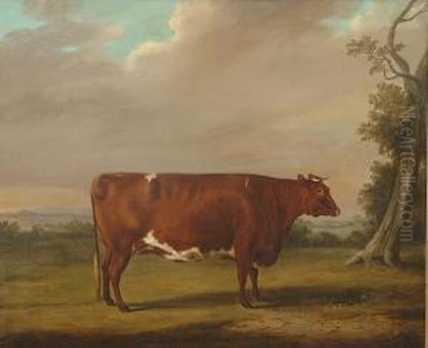 Portrait Of A Prize Bull In An Extensive Landscape Oil Painting by William Henry Davis