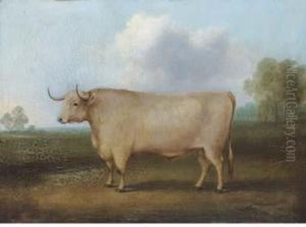 A Longhorned Bull In A Landscape Oil Painting by William Henry Davis