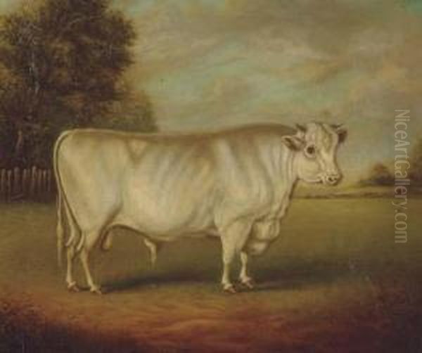 Earl Spencer's Famous Shorthorn Bull Oil Painting by William Henry Davis