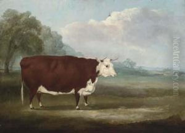 A Prize Hereford Cow Oil Painting by William Henry Davis