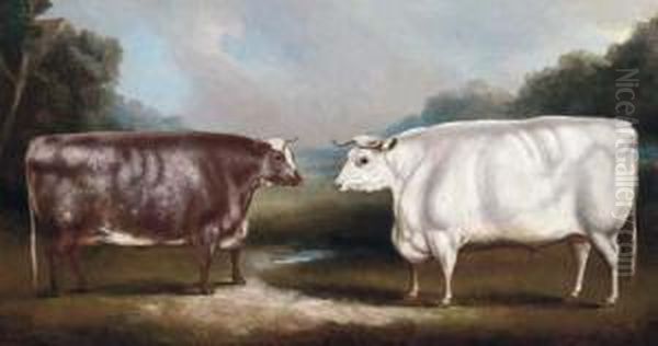 A Prize Heffer And A Prize Cow Oil Painting by William Henry Davis