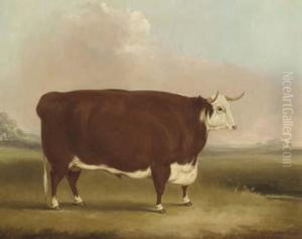 A Prize Bull In A Landscape Oil Painting by William Henry Davis