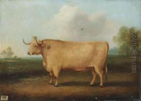 A Longhorned Bull In A Landscape Oil Painting by William Henry Davis