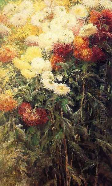 Chrysanthemums, Garden at Petit Gennevilliers Oil Painting by Gustave Caillebotte