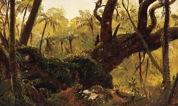 Rain Forest, Jamaica, West Indies Oil Painting by Frederic Edwin Church