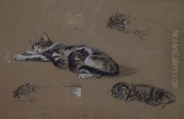 Winkle - Study Of A Cat Oil Painting by Lucy Dawson