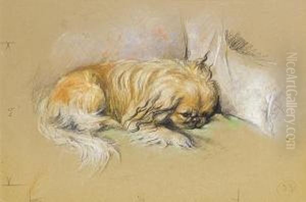 A Pekinese Oil Painting by Lucy Dawson