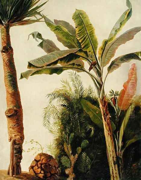 Banana Tree, c.1865 Oil Painting by Frederic Edwin Church