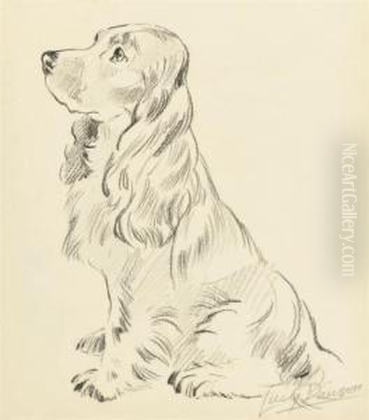 Five Studies Of Dogs Including: A Cocker Spaniel; And Aterrier Oil Painting by Lucy Dawson