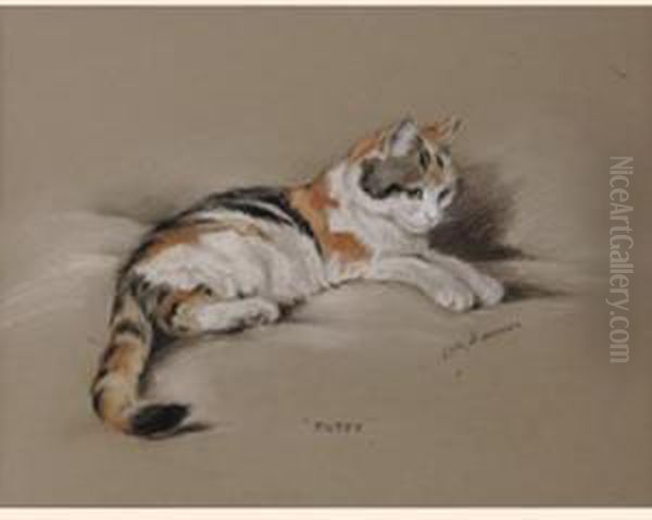 Tutsy, A Cat Oil Painting by Lucy Dawson