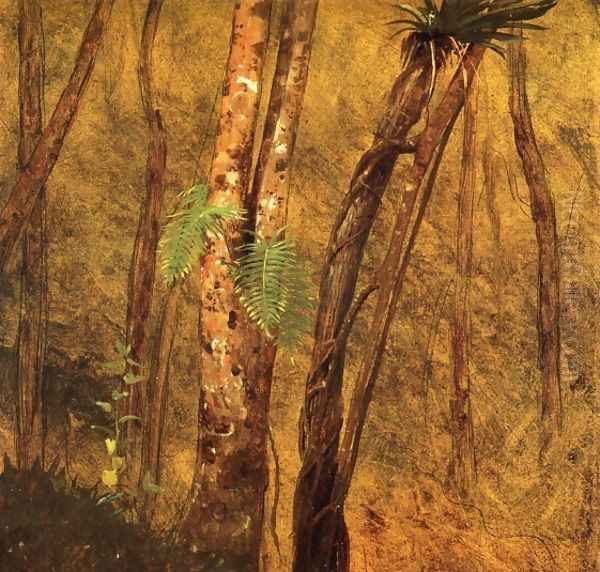 Plant Study, Jamaica, West Indies Oil Painting by Frederic Edwin Church