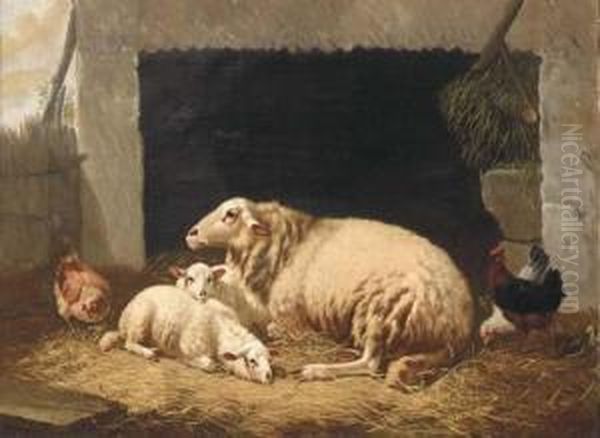 Sheep Resting In A Barnyard Oil Painting by Henri De Beul