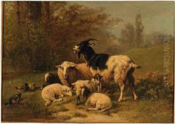 Sheep And Goats Resting On A Riverbank Oil Painting by Henri De Beul