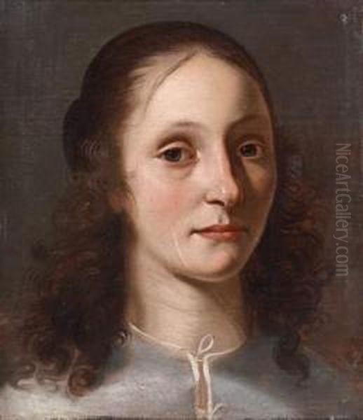 Portrait Of A Young Lady Oil Painting by Jan De Bray