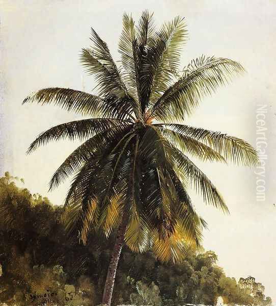 Palm Trees, West Indies Oil Painting by Frederic Edwin Church