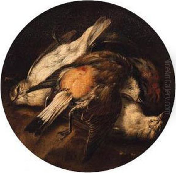 Dead Birds Oil Painting by Baldassare De Caro