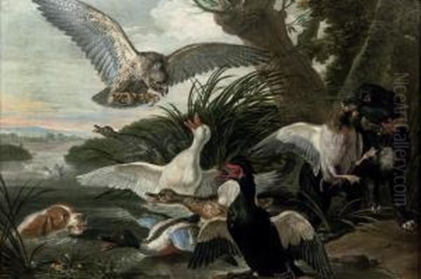 Waterfowl Under Attack By Two Springer Spaniels And A Buzzard Oil Painting by David de Coninck