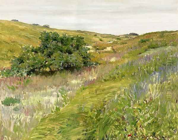 Landscape Shinnecock Hills Oil Painting by William Merritt Chase