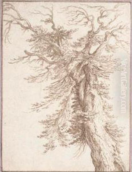 Study Of The Trunk Of An Old Oak Tree Oil Painting by Andries Jacobsz. Stock