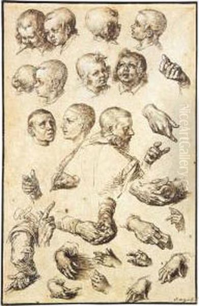 Sheet Of Studies Of Heads, Arms, Hands And A Youth Seen From Behind Oil Painting by Andries Jacobsz. Stock