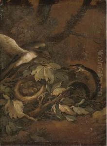 A Snake Startling A Bird And A Nest Of Chicks On A Forestfloor Oil Painting by Carl Wilhelm de Hamilton