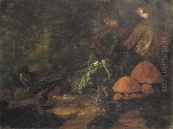 A Forest Floor Still Life With Snakes, Butterflies, Snails, Agrasshopper And A Lizard Oil Painting by Carl Wilhelm de Hamilton