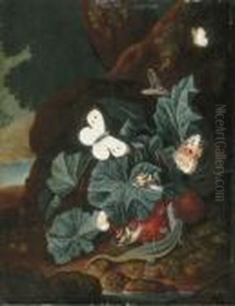 A Forest Floor Still-life With A Lizard, Butterflies, Snails And Asnake Oil Painting by Carl Wilhelm de Hamilton