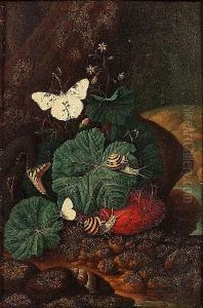 A Forest Floor Still Life With A
 Lizard, Snails And Butterflies; And A Forest Floor Still Life With A 
Snake, Snails And Butterflies Oil Painting by Carl Wilhelm de Hamilton