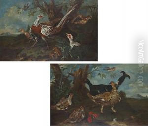 Pheasant In A Landscape; And A Pheasant And Other Birds Oil Painting by Ferdinand Phillip de Hamilton