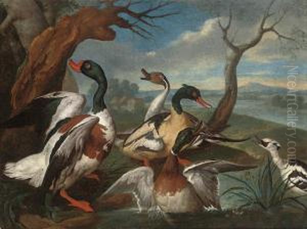 A Shellduck, A Pintail, A Mallard, And Other Ducks On The Bank Of A River Oil Painting by Ferdinand Phillip de Hamilton